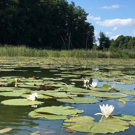 Villa Lakeside House In Masuria Piecki